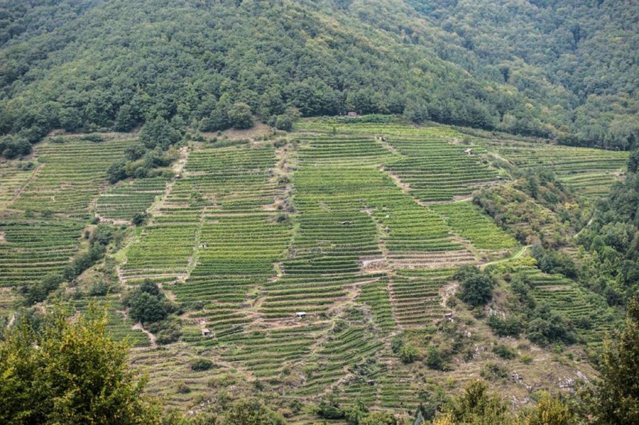 Апартаменты Weingut Piewald Gut am Steg Экстерьер фото